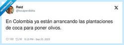Enlace a Ya saben dónde hay el negocio, por @locaperdidita