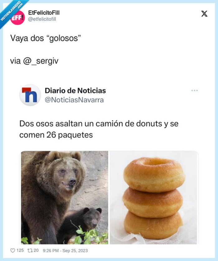 osos,donuts,comer