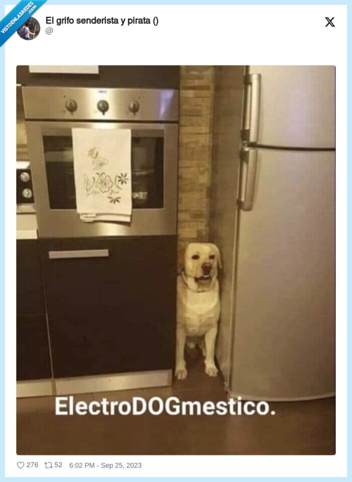 perro,nevera,hueco,dog,electrodomestico