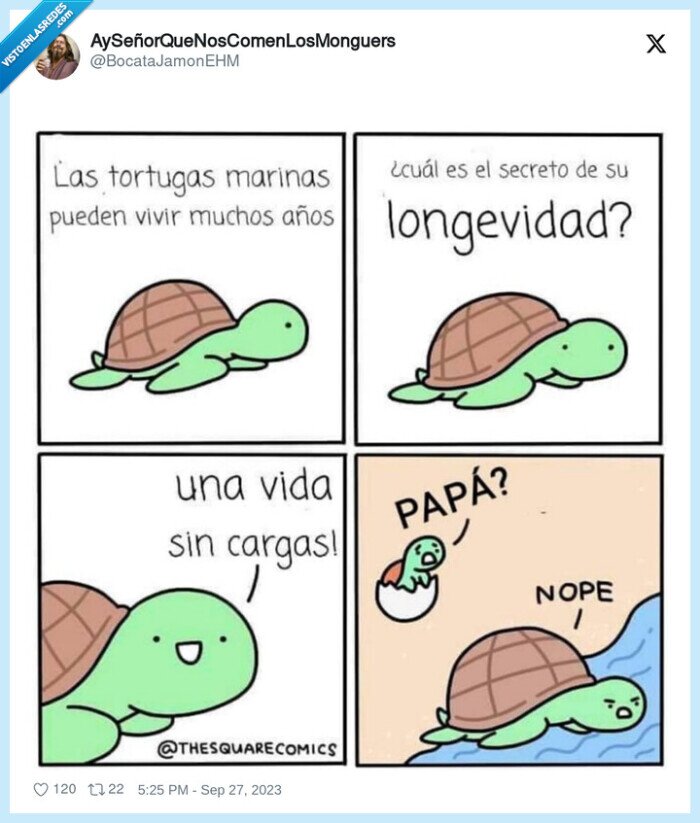 1468428 - Qué cabronas son las tortugas pensándolo así, por @BocataJamonEHM