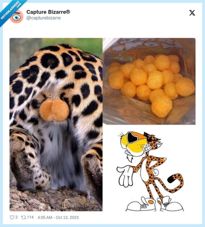 cheetos,bolas,guepardo,queso