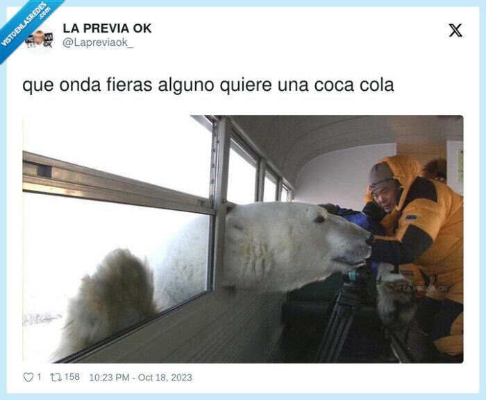 oso polar,pedir,coca cola