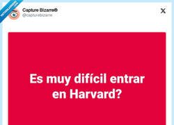 Enlace a Harvard se llama así por algo, por @capturebizarre