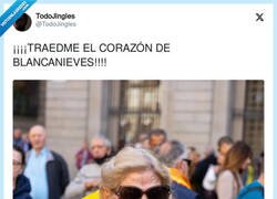 Enlace a ¡¡¡¡TRAEDME EL CORAZÓN DE BLANCANIEVES!!!!, por @TodoJingles