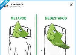 Enlace a Metapod / Medestapod, por @Lapreviaok_
