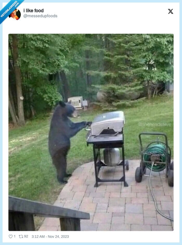 oso,barbacoa,cocinar