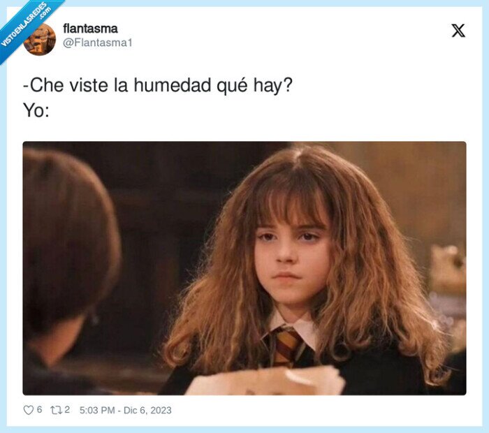 humedad,hermione,pelo