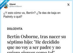 Enlace a Haberlo pensado antes, Bertín, por @SiberetSiberet