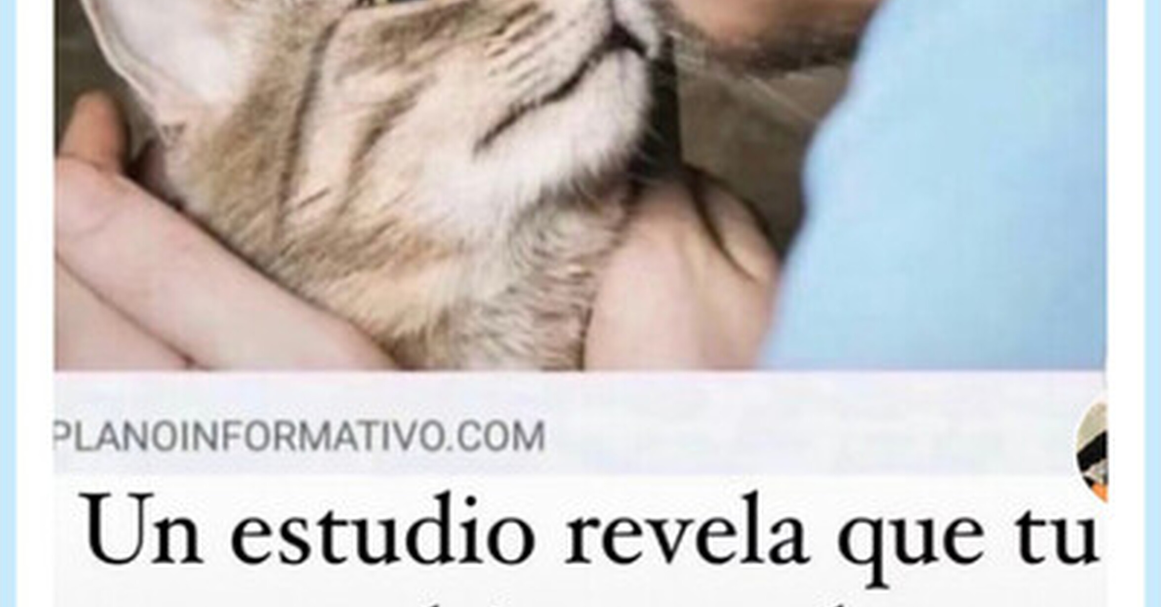 VEF > Visto en las Redes > Ay pobre michi, por 86Monik37