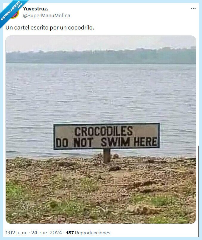 cocodrilo,cartel,nadar