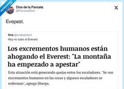 Enlace a Evepest., por @PancetaDios
