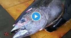 Enlace a ¿Cuántas familias podrían comer con este atún?