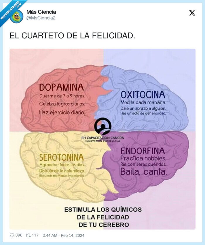 felicidad,cuarteto,cerebro,oxitocina,endorfina,serotonina,dopamina