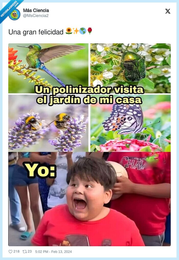 polinizador,mariposas,colibri,abejas,flores