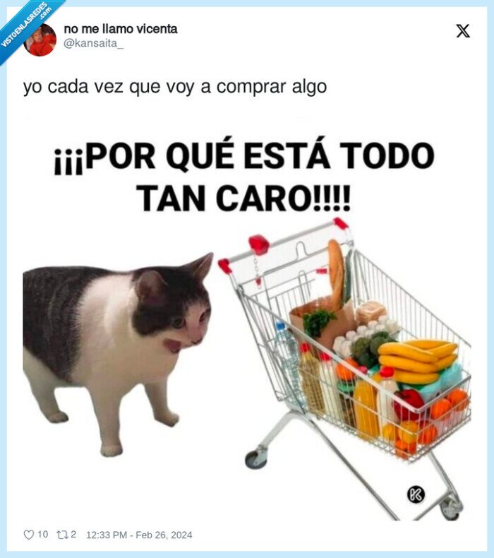 comprar,supermercado,caro,gato