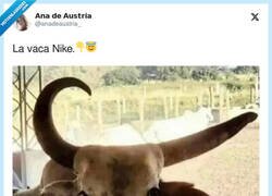 Enlace a La vaca Nike, por @anadeaustria_