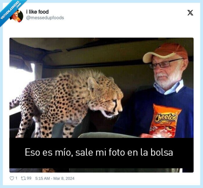 cheetos,guepardo,comida