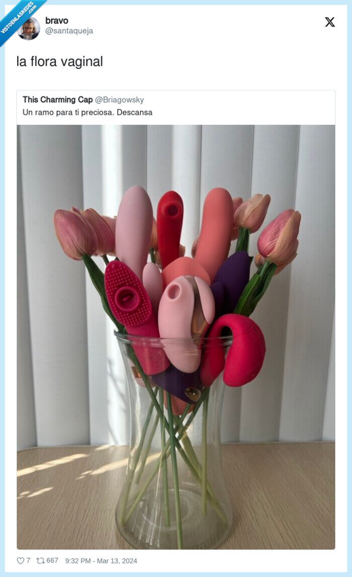 vaginal,flora,flores
