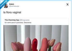 Enlace a Flora vaginal, por @santaqueja