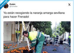 Enlace a ¿Alguien se cree que el Frenadol está hecho con naranjas?, por @rumelbe