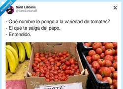 Enlace a Tomate chirri, por @SantiLiebanaR