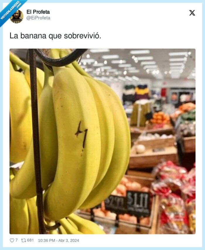 1558465 - La banana Potter, por @EiProfeta