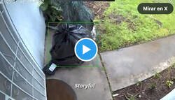 Enlace a Una persona roba un paquete del porche de alguien disfrazado de bolsa de basura