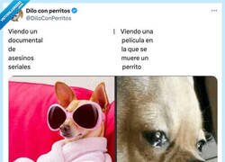 Enlace a Los perritos no, por favor, por @DiloConPerritos