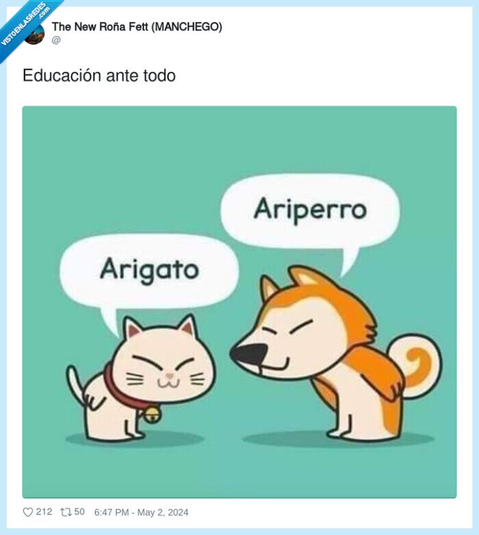 educación,arigato,ariperro,gato,perro