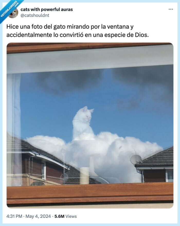 gato,ventana,nubes,efecto