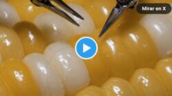 Enlace a Robot de asistencia de microcirugía cosiendo un grano de maíz