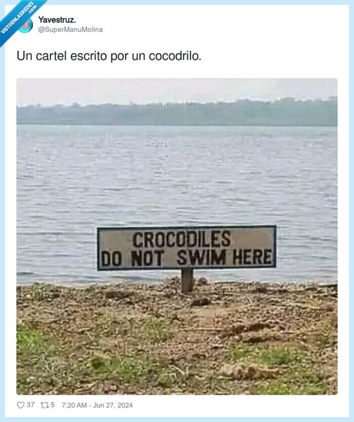 cartel,cocodrilo