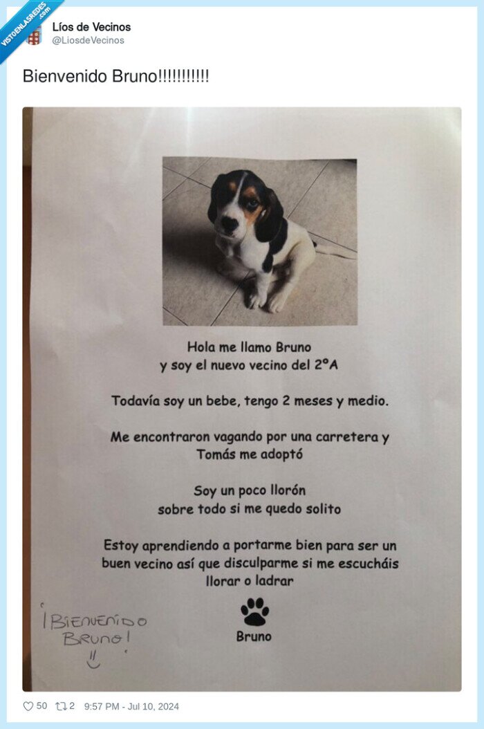 perro,cachorro,cartel,bruno