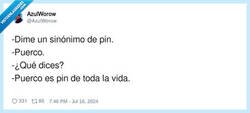 Enlace a Sinónimo de pin, por @AzulWorow