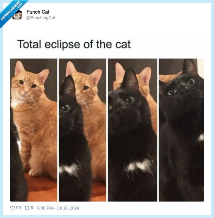 gato,eclipse,total eclipse of the heart