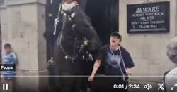 Enlace a Una turista es mordida por un caballo de la Guardia Real mientras intentaba posar para una foto