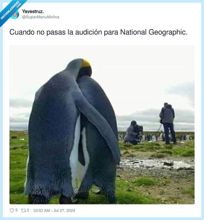 audición,national geographic