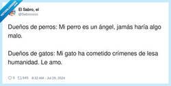 Enlace a Mi gato es el verdadero diablo, por @Sabrococo