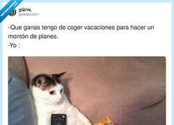 Enlace a Resumen de mis vacaciones, por @86Monik37