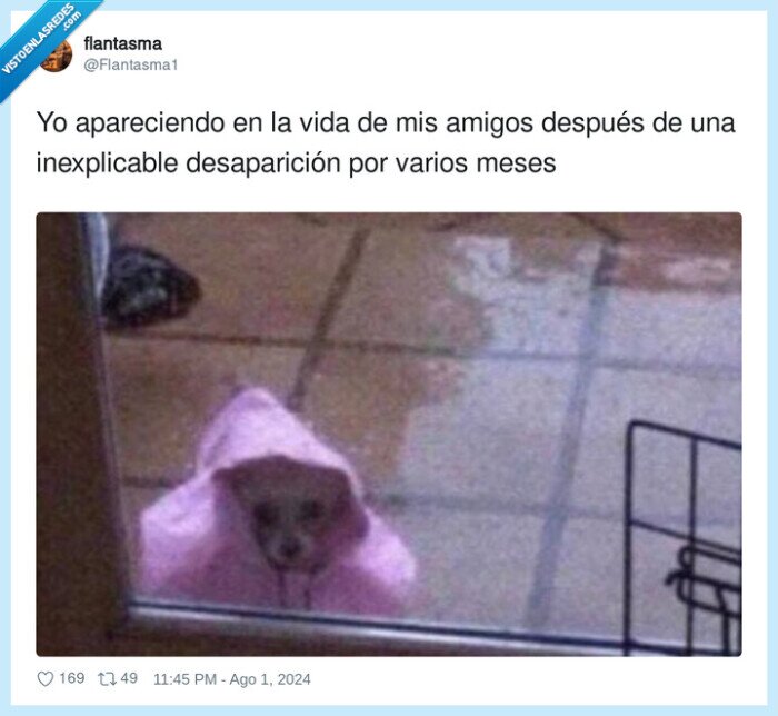 desaparición,inexplicable,apareciendo,después,amigos