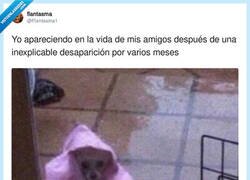 Enlace a Gente, estoy aquí, por @Flantasma1