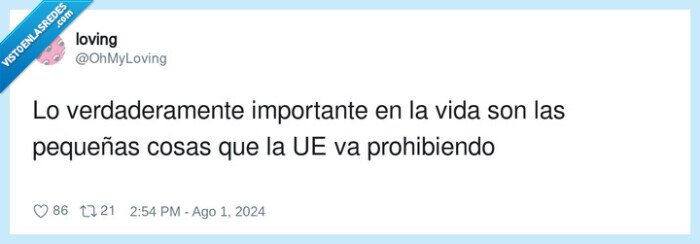 ue,prohibir,importante,pequeñas cosas,vida