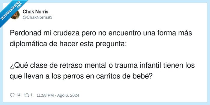 retraso mental,perros,carritos,infantil,pregunta