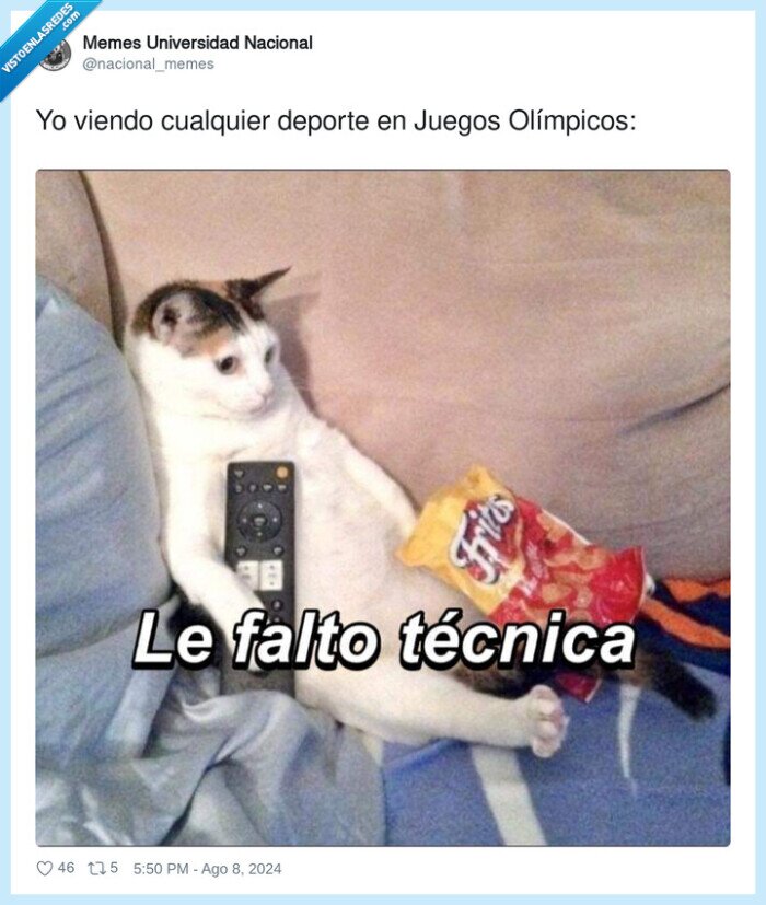 jjoo,cualquier,gato,viendo,fritos