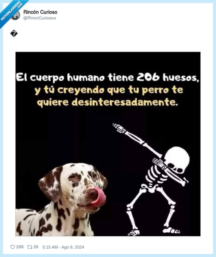 huesos,perro