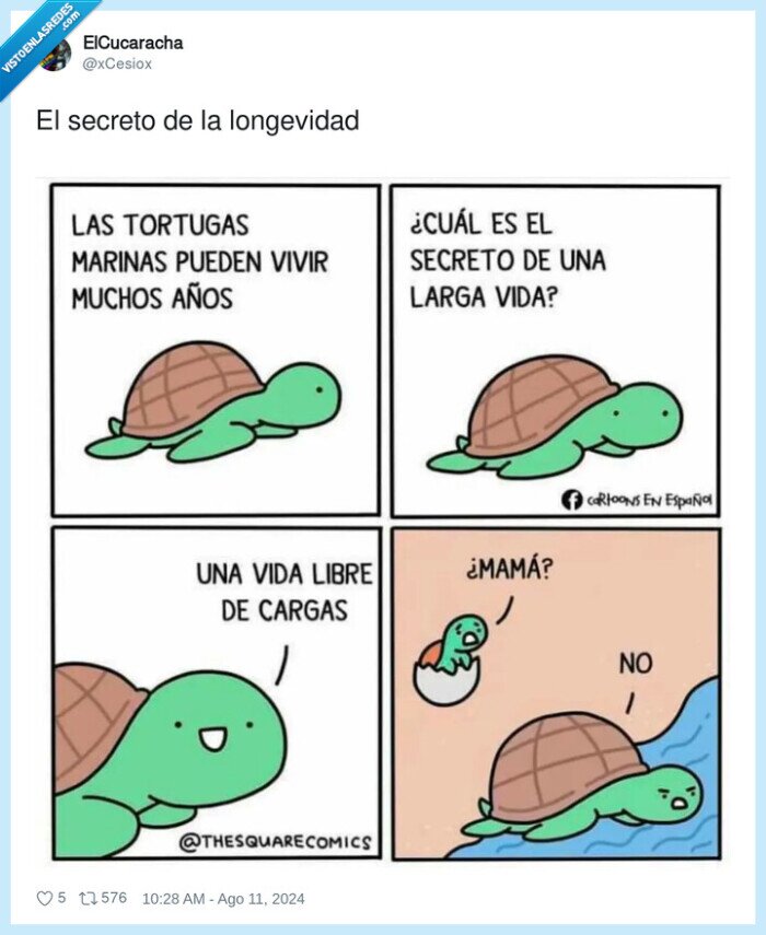 1622982 - Ahora ya sabes el secreto de las tortugas, por @xCesiox