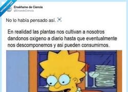 Enlace a Hoy estaré en la cama dando vueltas, por @EnsedeCiencia