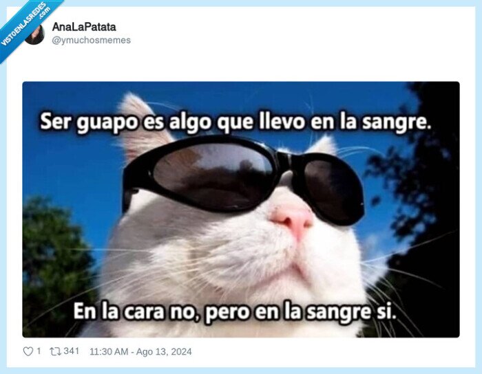 1624334 - Algo es algo, por @ymuchosmemes