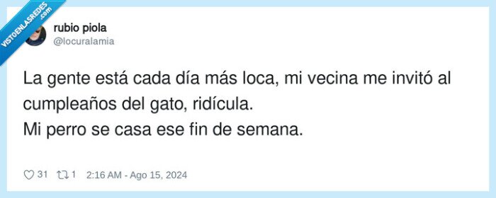 cumpleaños,ridícula,perro,gato,loca