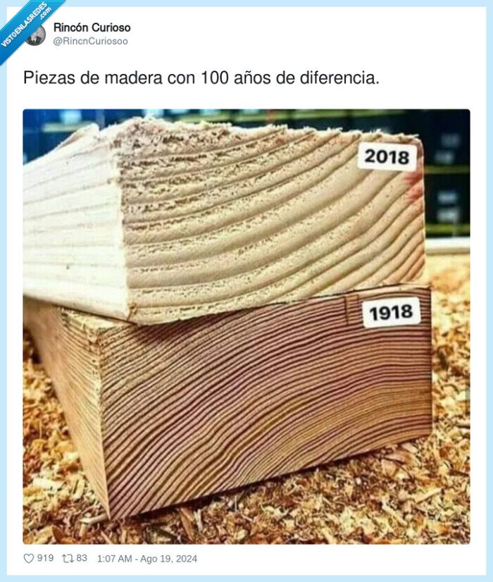 diferencia,piezas,madera,años,edad